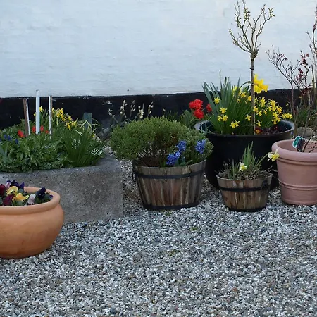 Gard Apartamento Borre