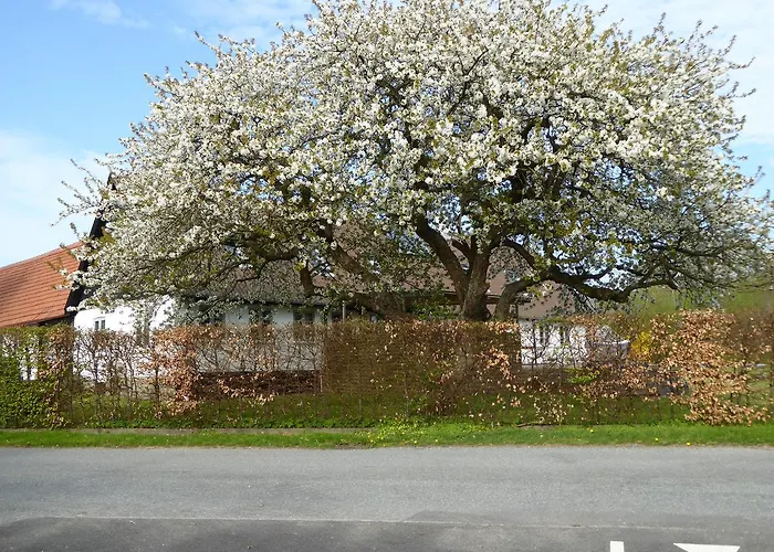Gård Lägenhet Borre