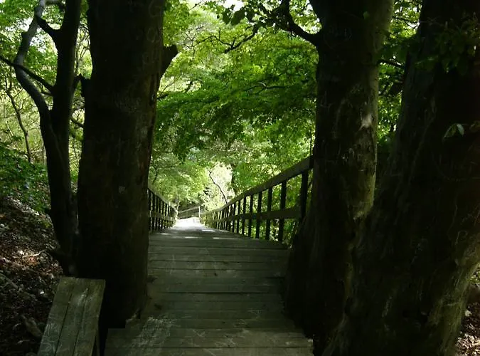 Gård Borre